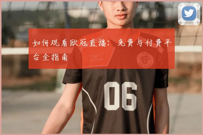 如何观看欧冠直播：免费与付费平台全指南